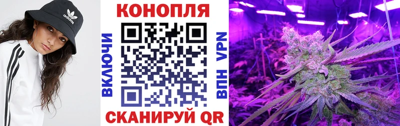 кракен tor  даркнет сайт  Яранск  Шишки марихуана White Widow 
